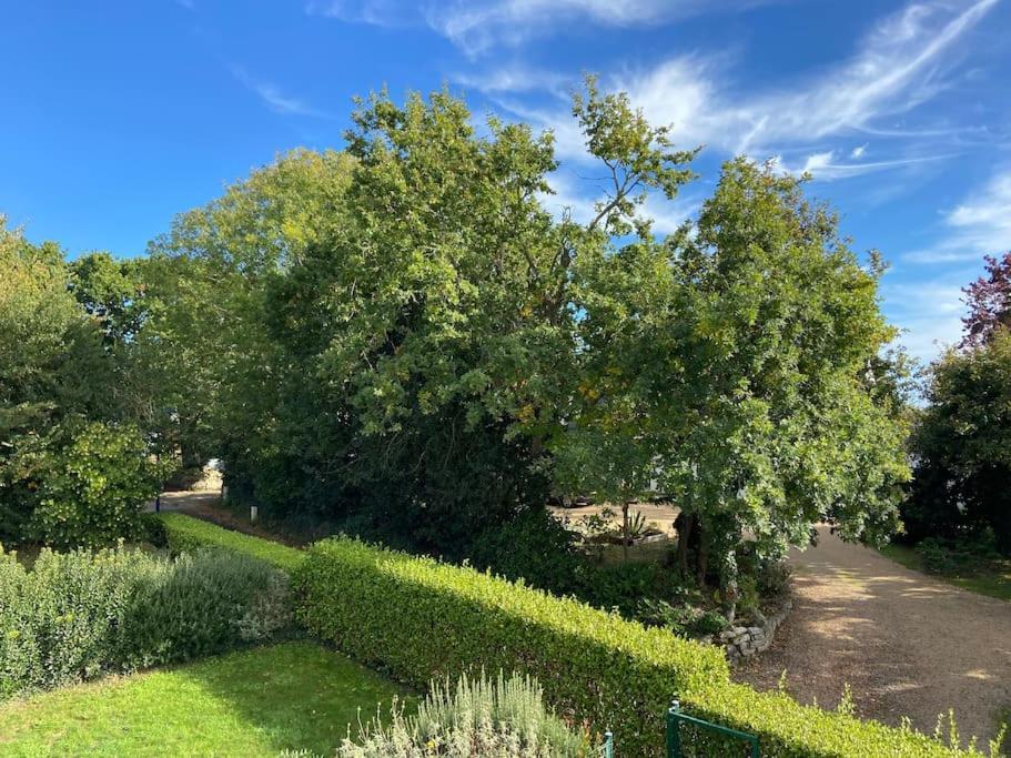Superbe Appartement Terrasse, Proche De La Plage Bénodet Eksteriør billede